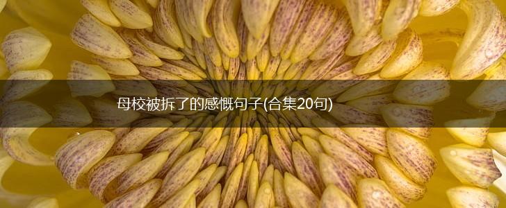 母校被拆了的感慨句子(合集20句),第1张