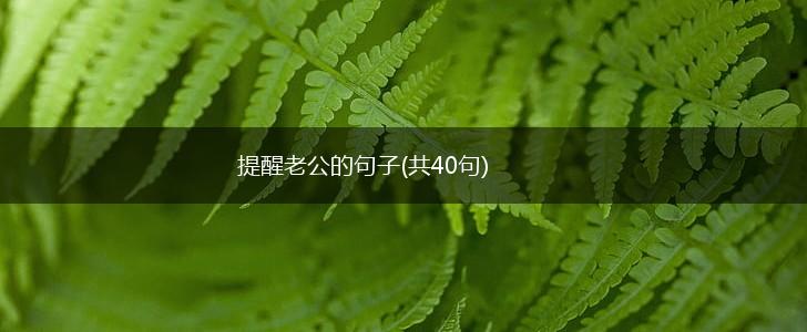 提醒老公的句子(共40句),第1张