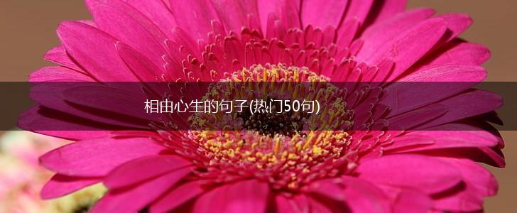 相由心生的句子(热门50句),第1张