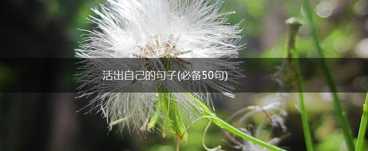活出自己的句子(必备50句),第1张