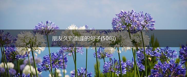 朋友久别重逢的句子(50句),第1张