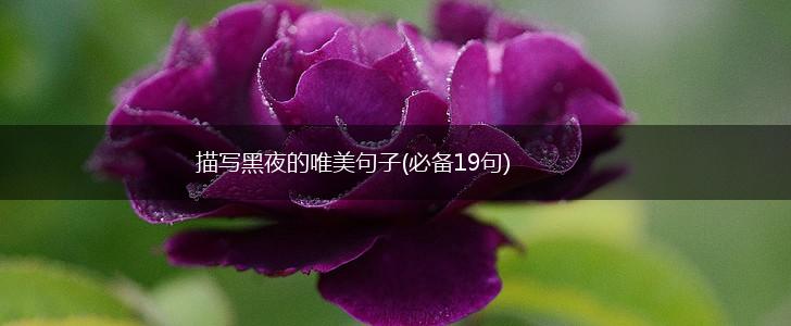 描写黑夜的唯美句子(必备19句),第1张