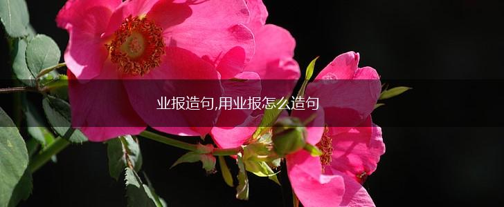业报造句,用业报怎么造句,第1张 业报造句,用业报怎么造句,第1张