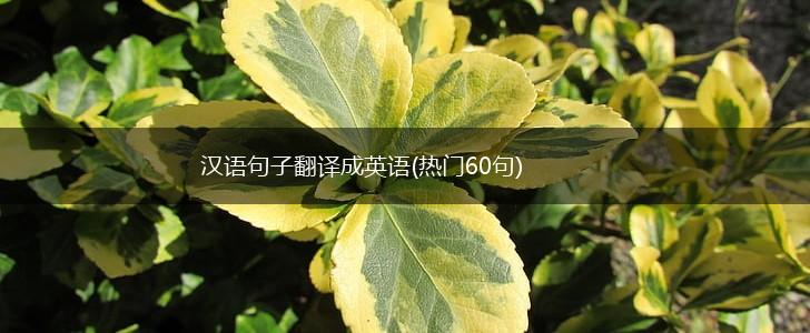 汉语句子翻译成英语(热门60句),第1张
