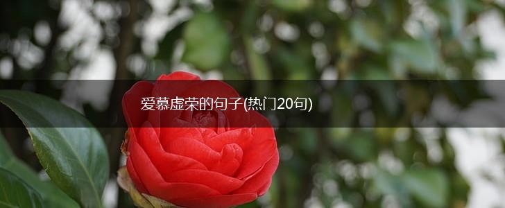 爱慕虚荣的句子(热门20句),第1张