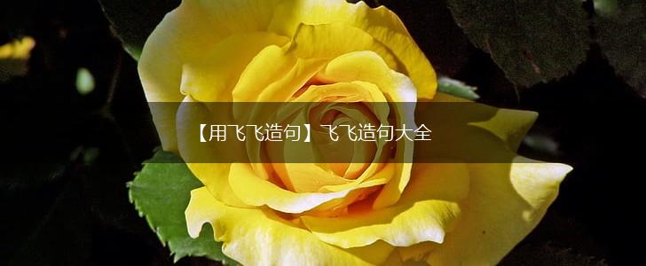 【用飞飞造句】飞飞造句大全,第1张 【用飞飞造句】飞飞造句大全,第1张