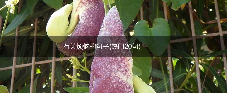 有关烦恼的句子(热门20句),第1张