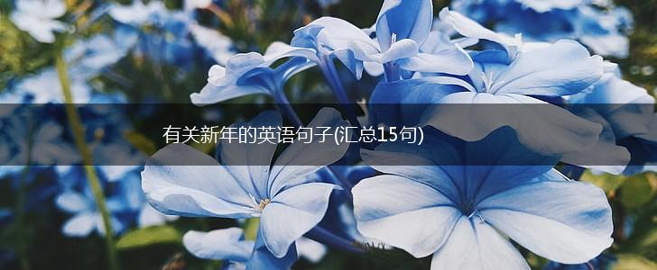 有关新年的英语句子(汇总15句),第1张
