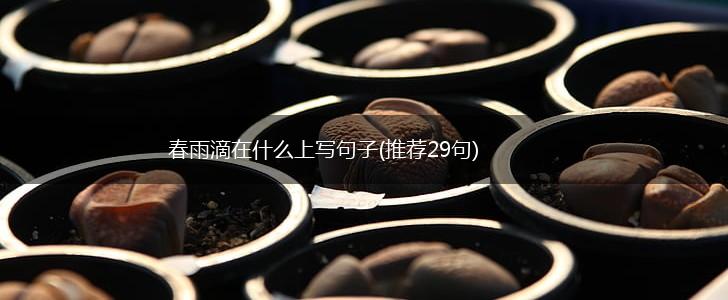 春雨滴在什么上写句子(推荐29句),第1张