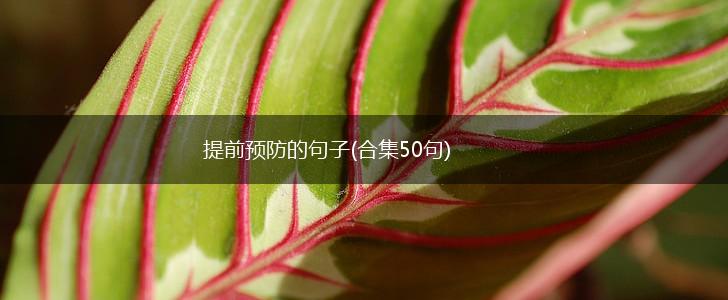 提前预防的句子(合集50句),第1张