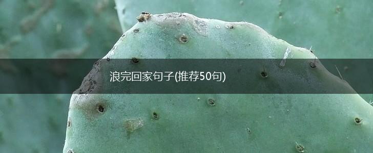 浪完回家句子(推荐50句),第1张