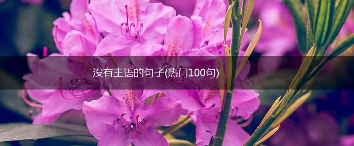 没有主语的句子(热门100句),第1张