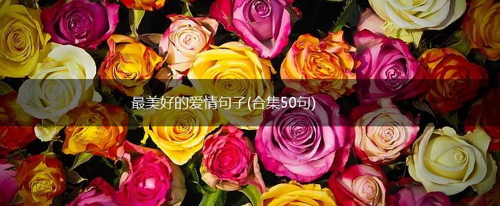 最美好的爱情句子(合集50句),第1张
