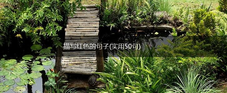 描写红色的句子(实用50句),第1张