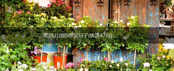 爬到山顶的感觉句子(优选47句),第1张