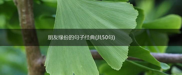 朋友缘份的句子经典(共50句),第1张