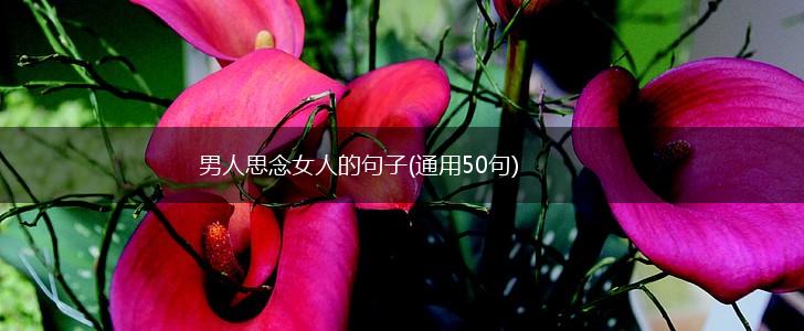 男人思念女人的句子(通用50句),第1张