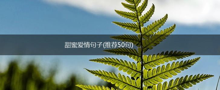 甜蜜爱情句子(推荐50句),第1张