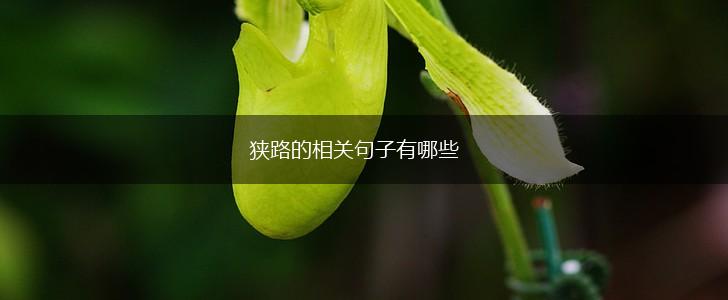 狭路的相关句子有哪些,第1张 狭路的相关句子有哪些,第1张