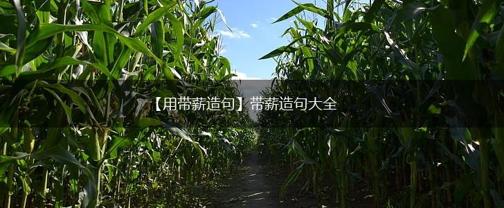 【用带薪造句】带薪造句大全,第1张 【用带薪造句】带薪造句大全,第1张