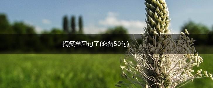 搞笑学习句子(必备50句),第1张