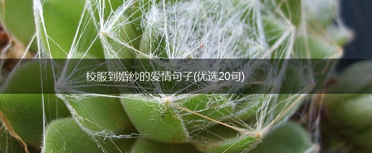 校服到婚纱的爱情句子(优选20句),第1张
