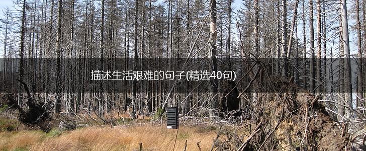 描述生活艰难的句子(精选40句),第1张