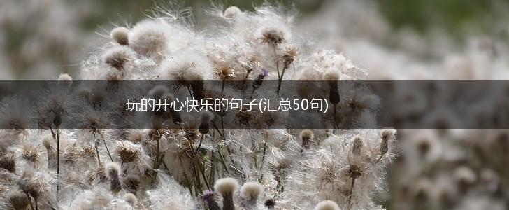 玩的开心快乐的句子(汇总50句),第1张