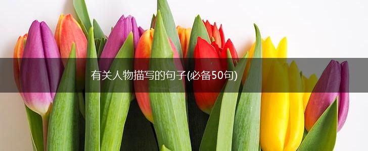 有关人物描写的句子(必备50句),第1张