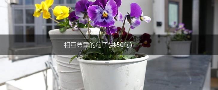 相互尊重的句子(共50句),第1张