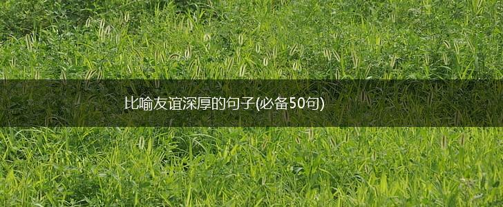 比喻友谊深厚的句子(必备50句),第1张