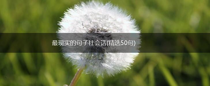 最现实的句子社会话(精选50句),第1张