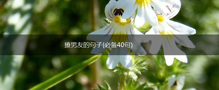 撩男友的句子(必备40句),第1张