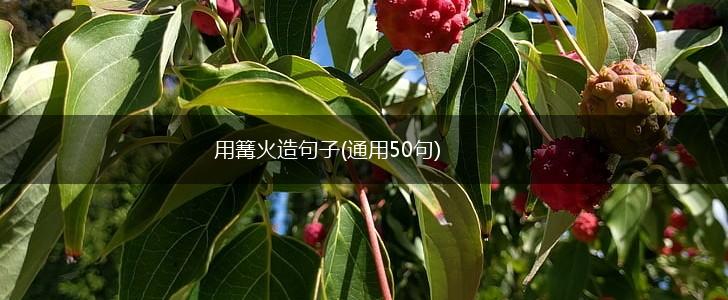 用篝火造句子(通用50句),第1张