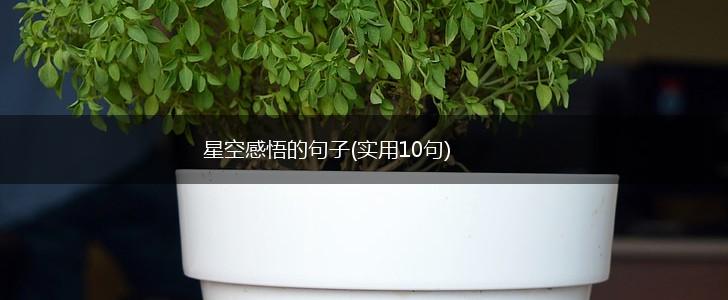 星空感悟的句子(实用10句),第1张