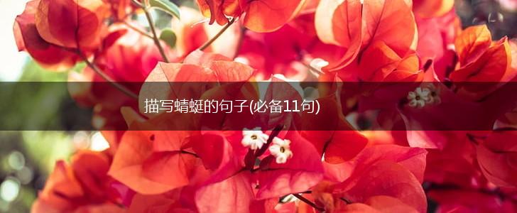 描写蜻蜓的句子(必备11句),第1张