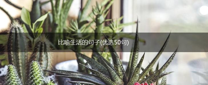 比喻生活的句子(优选50句),第1张