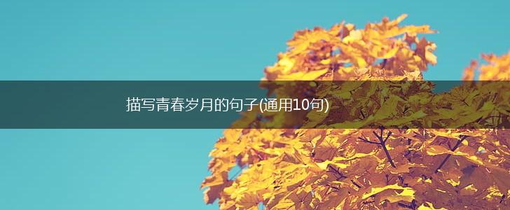 描写青春岁月的句子(通用10句),第1张