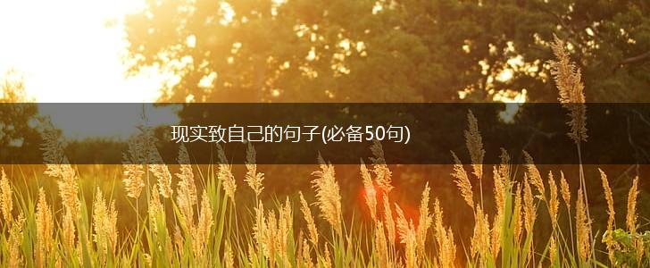 现实致自己的句子(必备50句),第1张