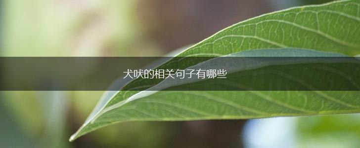 犬吠的相关句子有哪些,第1张 犬吠的相关句子有哪些,第1张