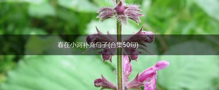 春在小河补充句子(合集50句),第1张