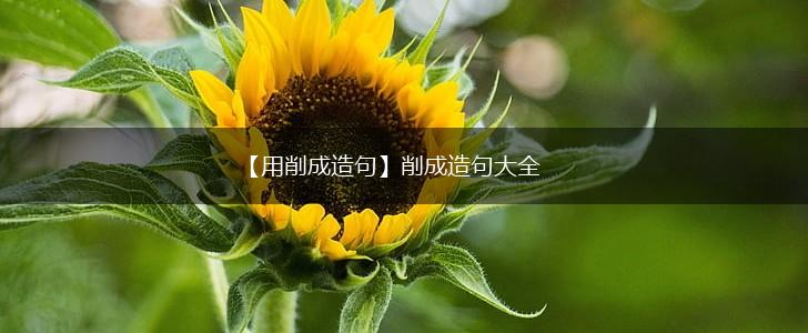 【用削成造句】削成造句大全,第1张