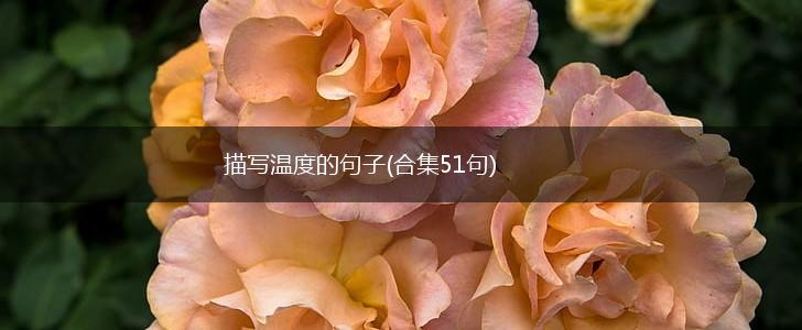 描写温度的句子(合集51句),第1张