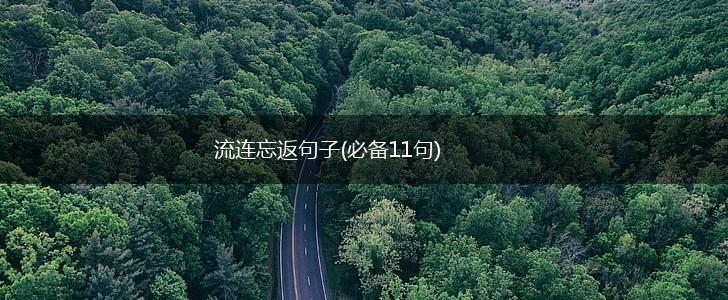 流连忘返句子(必备11句),第1张