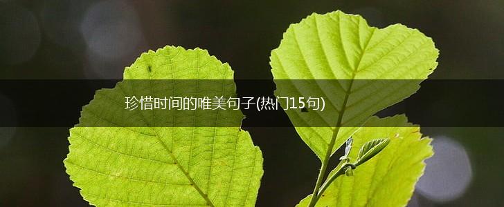 珍惜时间的唯美句子(热门15句),第1张