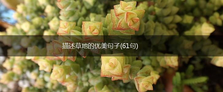 描述草地的优美句子(61句),第1张