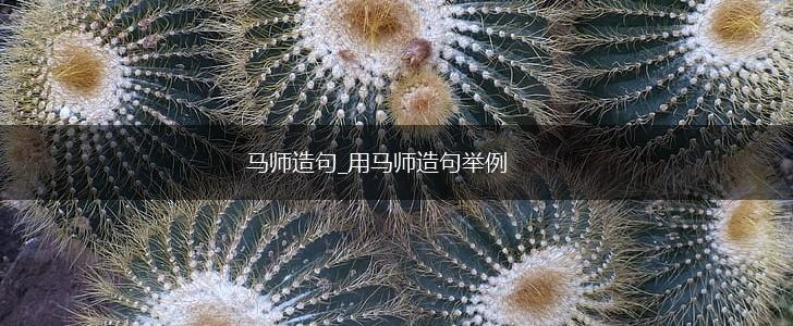马师造句_用马师造句举例,第1张