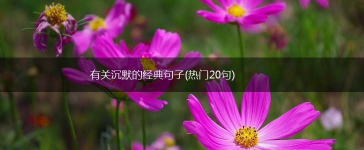 有关沉默的经典句子(热门20句),第1张