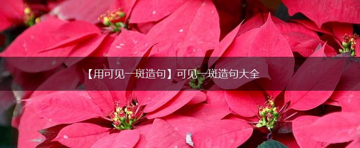 【用可见一斑造句】可见一斑造句大全,第1张