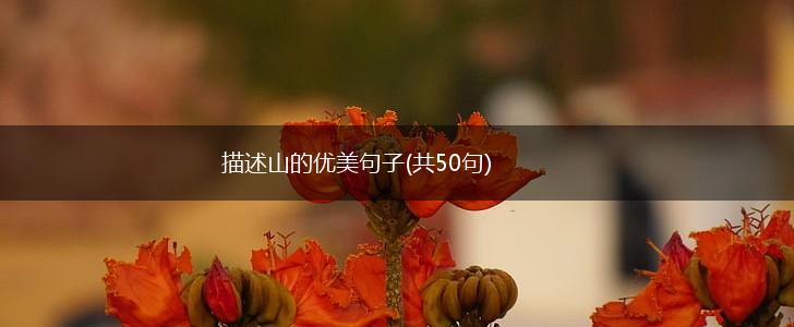 描述山的优美句子(共50句),第1张